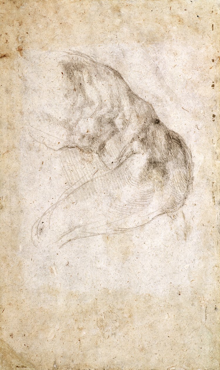 Studie för The Creation of Adam (svart krita på papper) (verso) (för recto se 191766) av Michelangelo Buonarroti