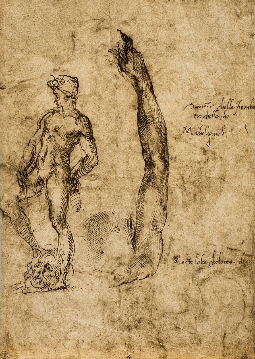Studie för Davidstatyn; ritning av Michelangelo. Louvren, Paris av Michelangelo Buonarroti