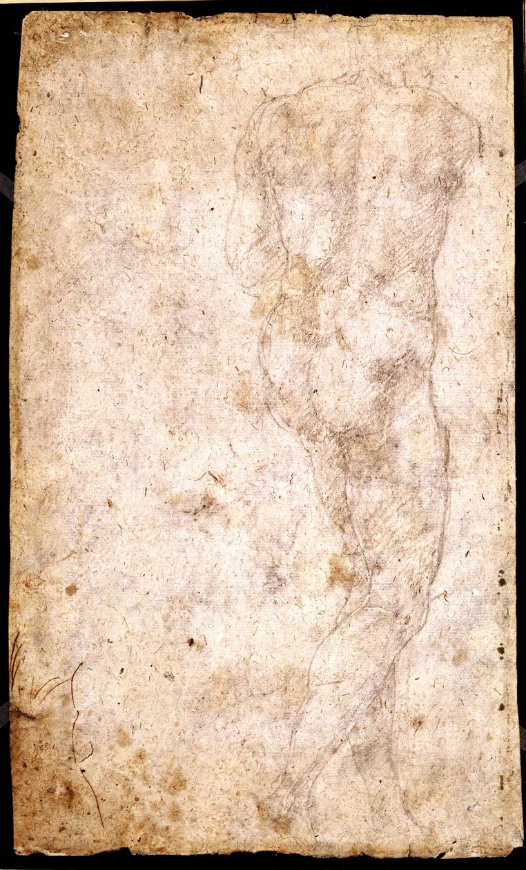 Studie av en manlig naken av Michelangelo Buonarroti