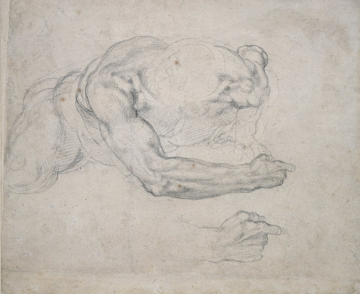 Studie av en man som reser sig från marken (svart krita på benvitt papper) av Michelangelo Buonarroti