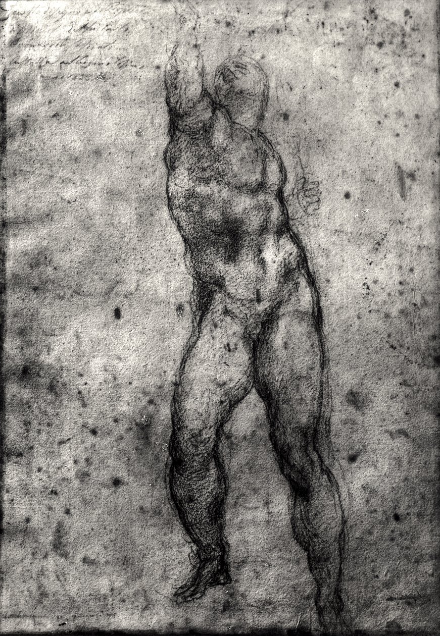 Studie av en manlig naken av Michelangelo Buonarroti
