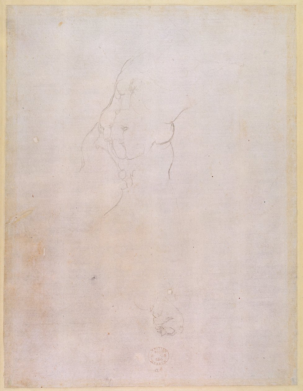 Studie av en manlig torso (verso) (för recto se 192512) av Michelangelo Buonarroti