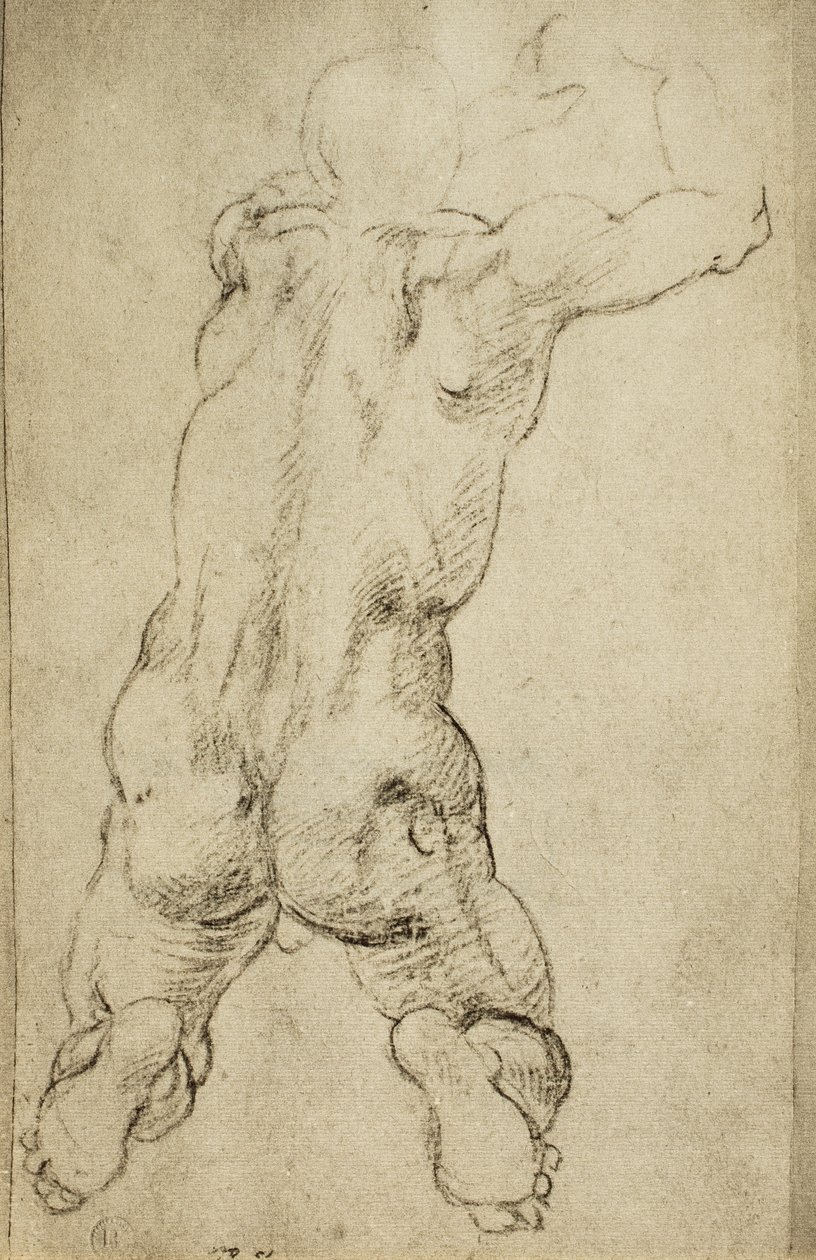 Studie av en viril figur: teckning av Michelangelo. Casa Buonarroti, Florens av Michelangelo Buonarroti