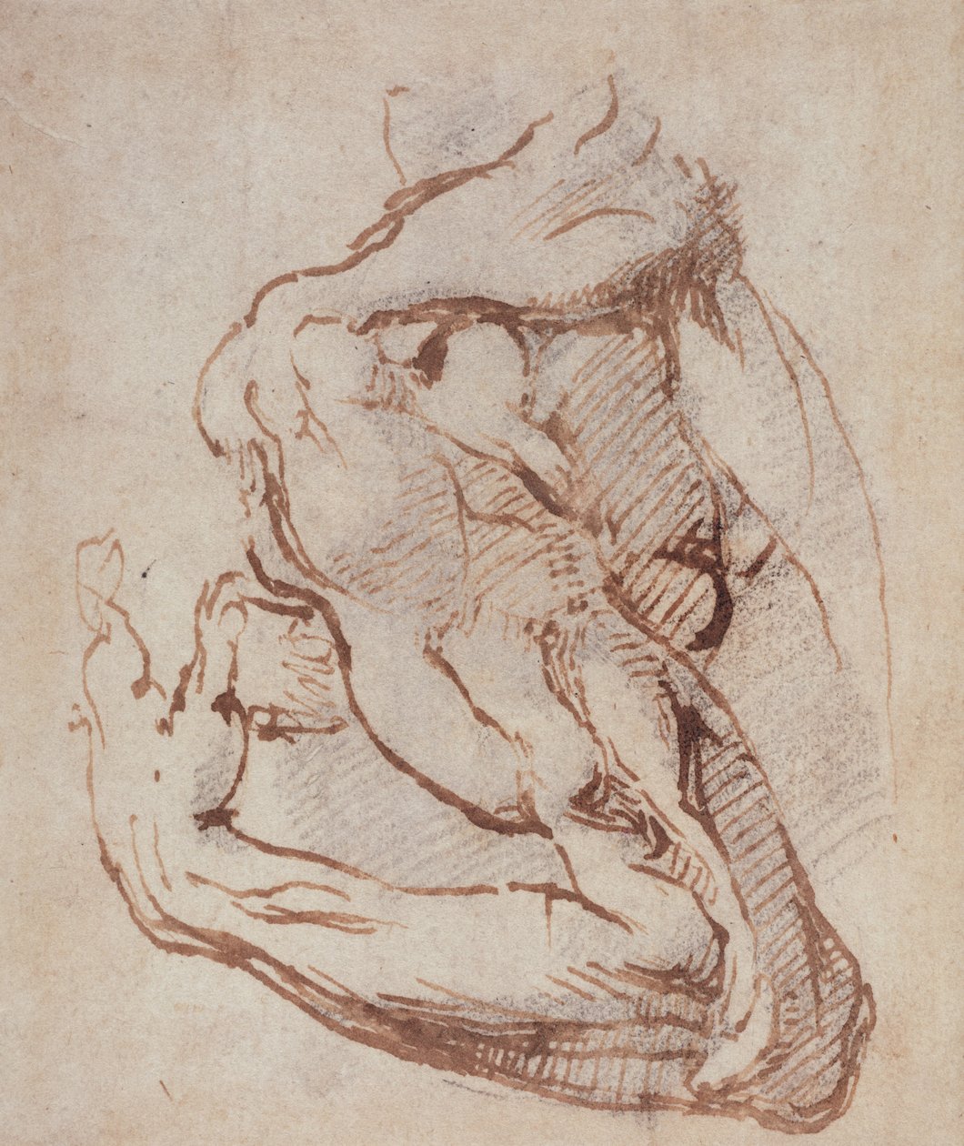 Studie av en arm (bläck) Inv.1859514819 (W.49) av Michelangelo Buonarroti