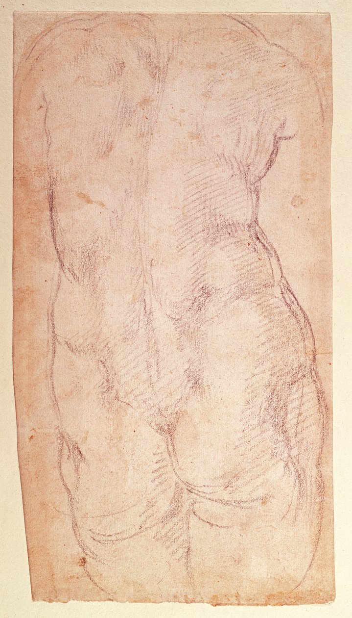 Studie av baksidan av en naken figur av Michelangelo Buonarroti