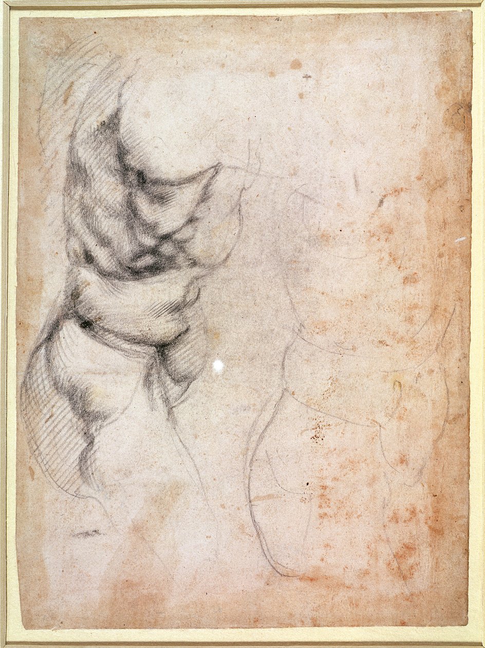 Studie av bål och rumpa (kol på papper) (recto) av Michelangelo Buonarroti