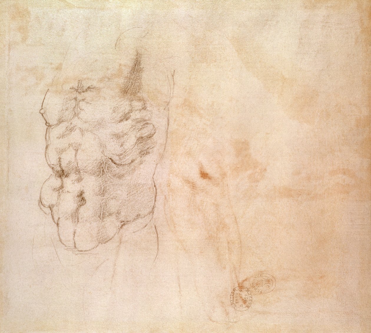 Torso Study (röd och svart krita på papper) av Michelangelo Buonarroti