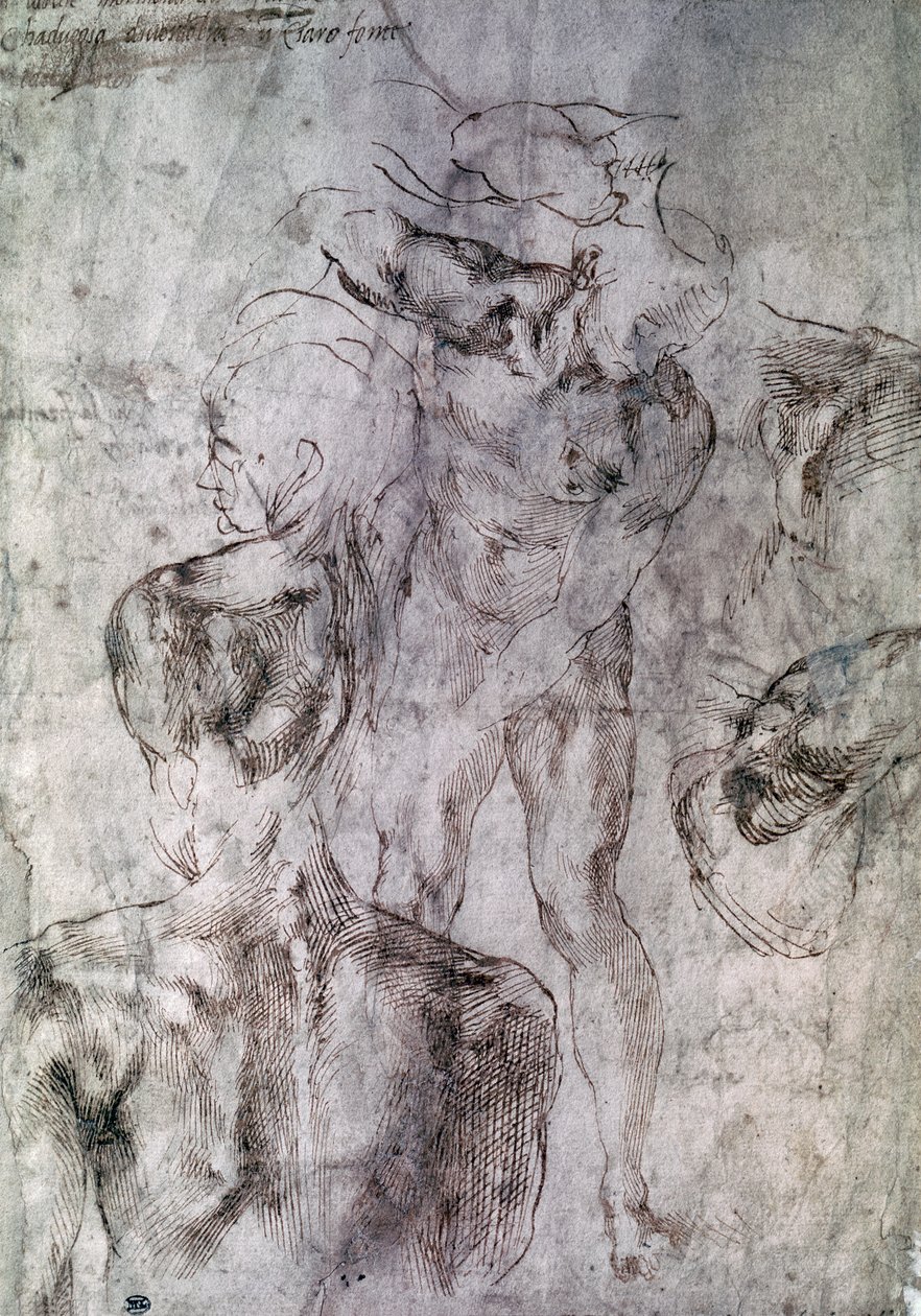 Olika studier, ago på Study for David av Michelangelo Buonarroti