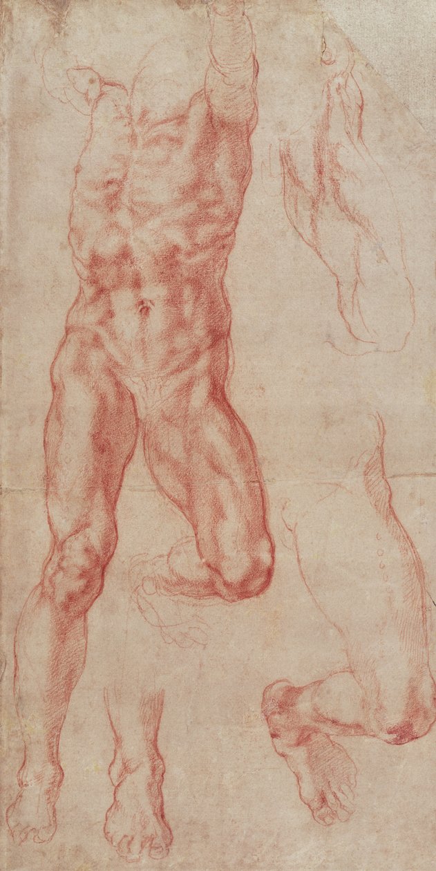 Studie av en manlig naken som sträcker sig uppåt av Michelangelo Buonarroti