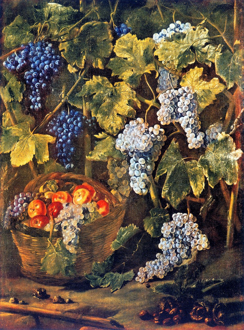 Stilleben med en korg med frukt, kastanjer och en bakgrund eller vinrankor och druvklasar av Michelangelo Cerquozzi
