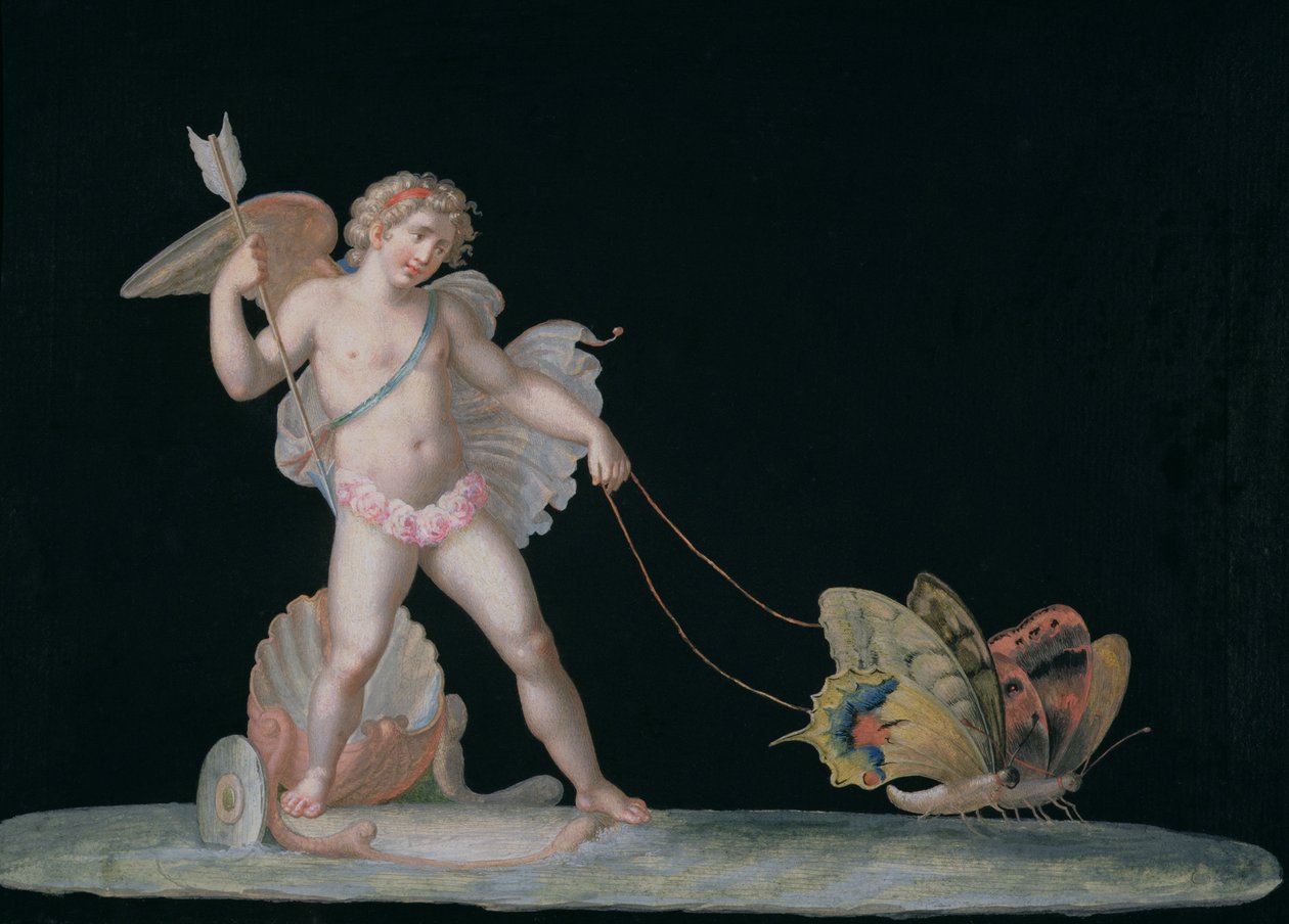 Amor ledd av fjärilar av Michelangelo Maestri