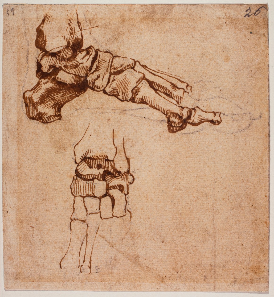 Anatomisk studie av foten av Michelangelo (after) Buonarroti