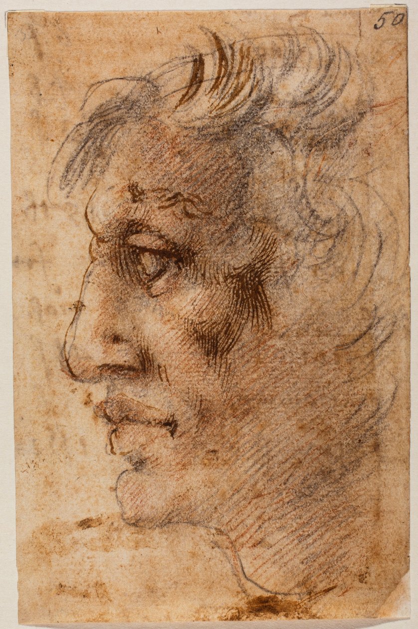 Manligt huvud i profil av Michelangelo (after) Buonarroti