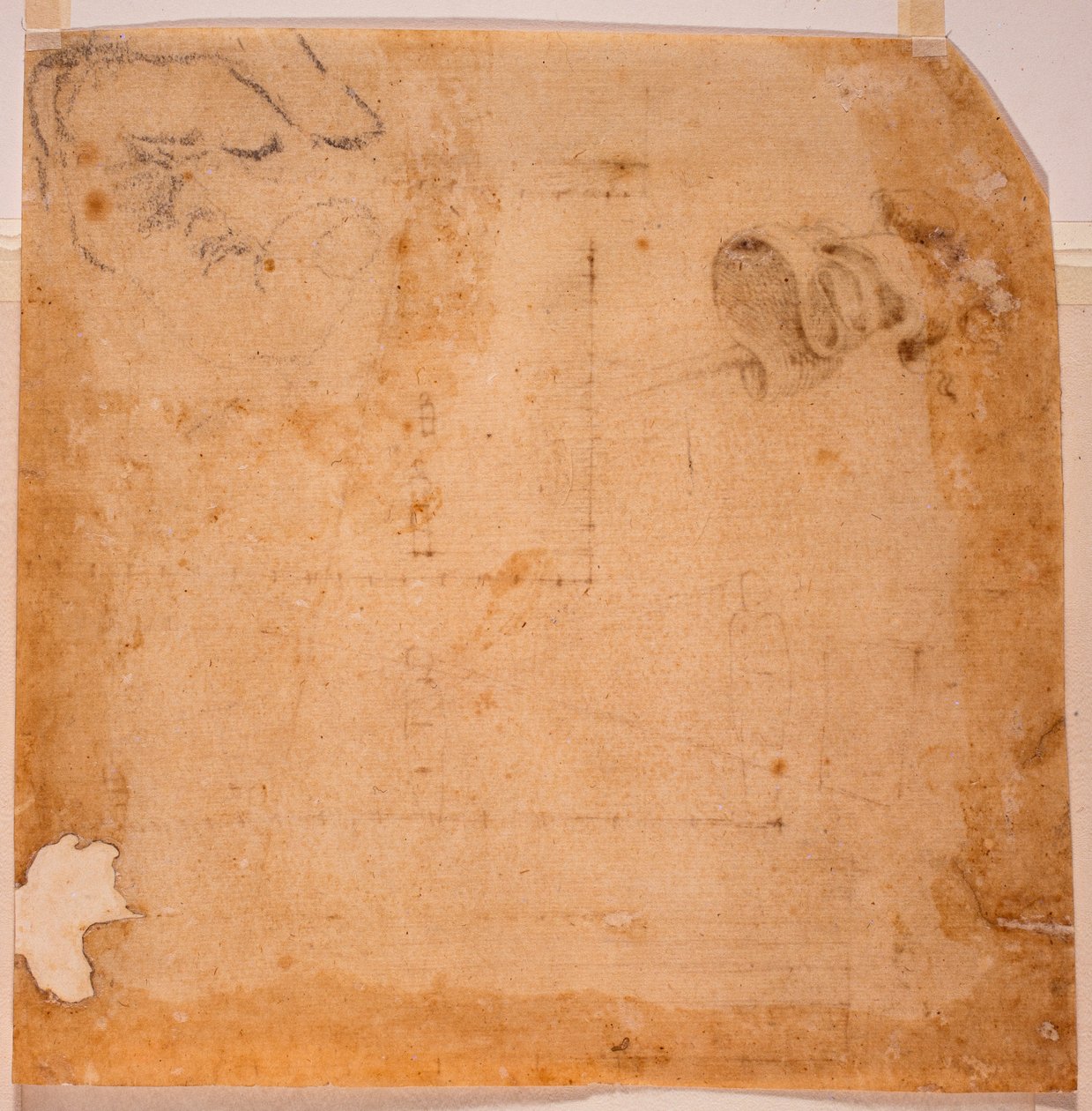 Perspektivstudier och banner av Michelangelo (after) Buonarroti