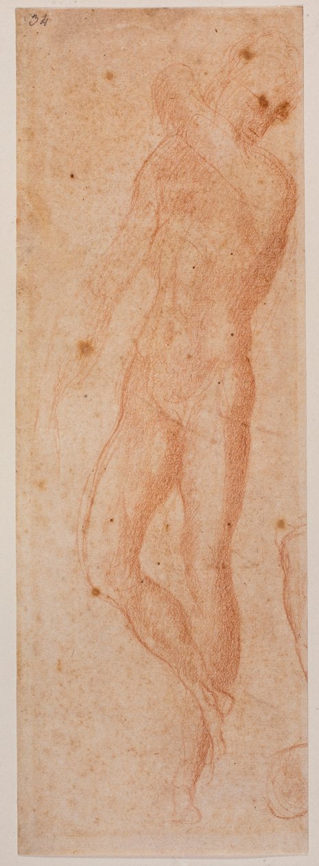 Studier av manliga nakna av Michelangelo (after) Buonarroti
