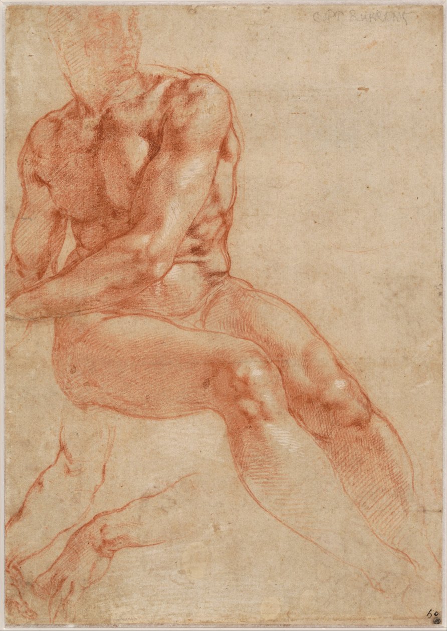 Sittande ung manlig nakenbild och två armstudier (recto), ca 1510-11 av Michelangelo