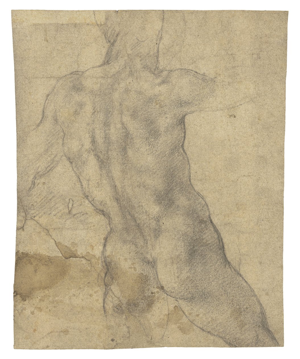 En manlig naken sedd bakifrån av Michelangelo Buonarroti