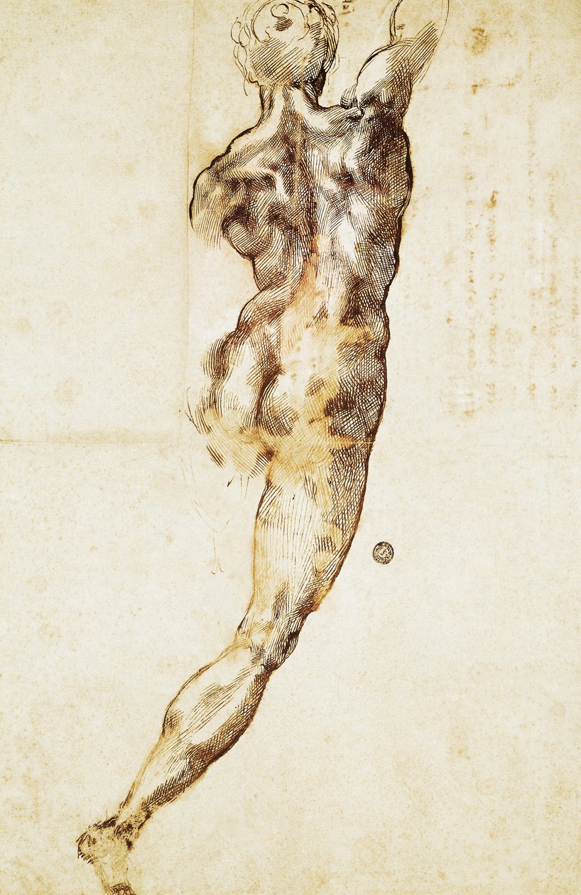 En manlig naken sedd bakifrån, studie för slaget vid Cascina, av Michelangelo (1475-1564), teckning. av Michelangelo Buonarroti