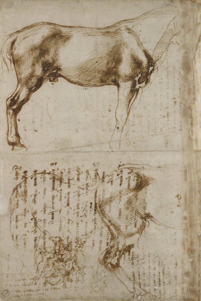 Anatomisk häststudie, 1504 av Michelangelo Buonarroti