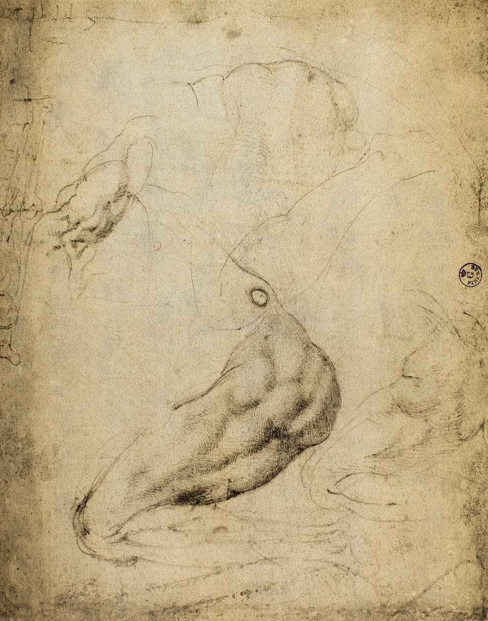 Anatomisk studie: teckning av Michelangelo bevarad i Room of Drawings and Prints, Uffizi Gallery, Florens. av Michelangelo Buonarroti