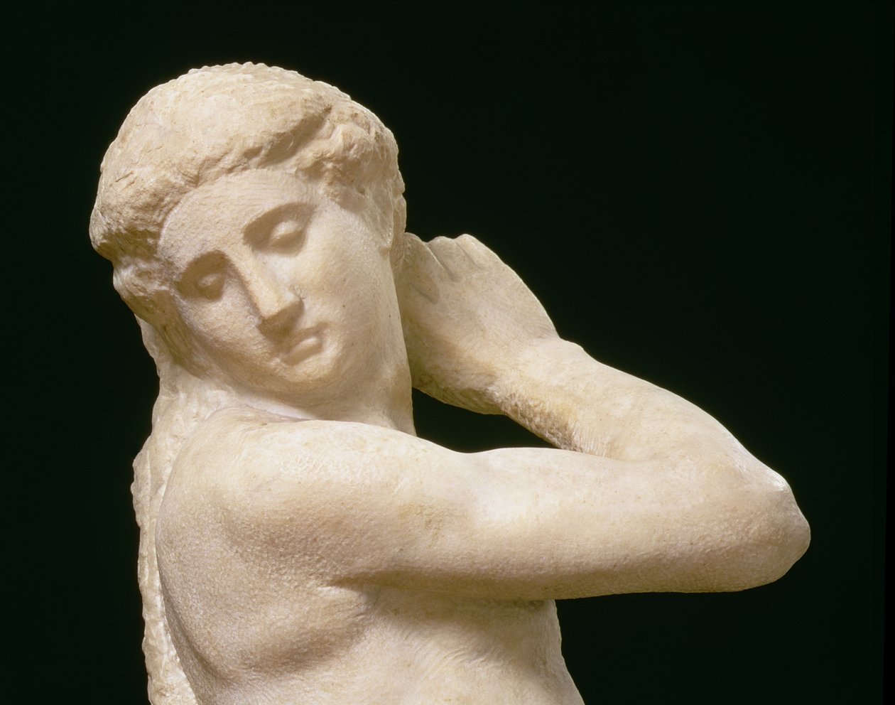 Apollo, eller David, detalj av huvudet, skulptur av Michelangelo Buonarroti 1475-1564 detalj av 79842 av Michelangelo Buonarroti
