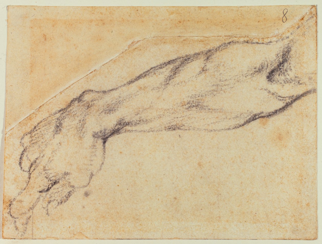 Armstudie för en sixtinsk figur av Michelangelo Buonarroti