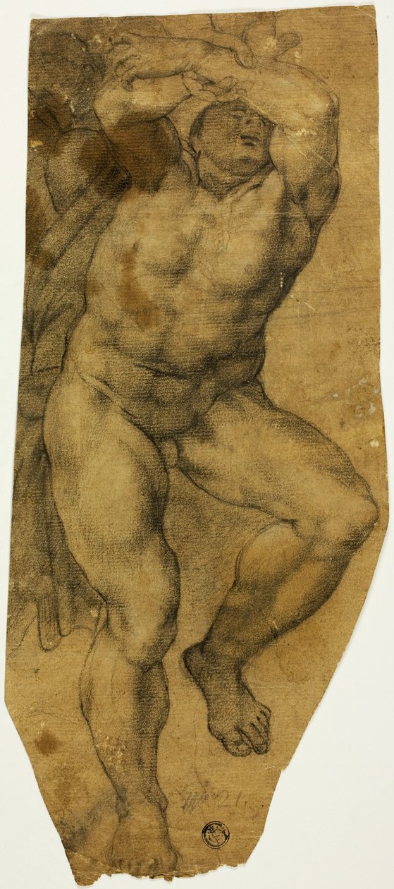 Stigande manlig naken av Michelangelo Buonarroti