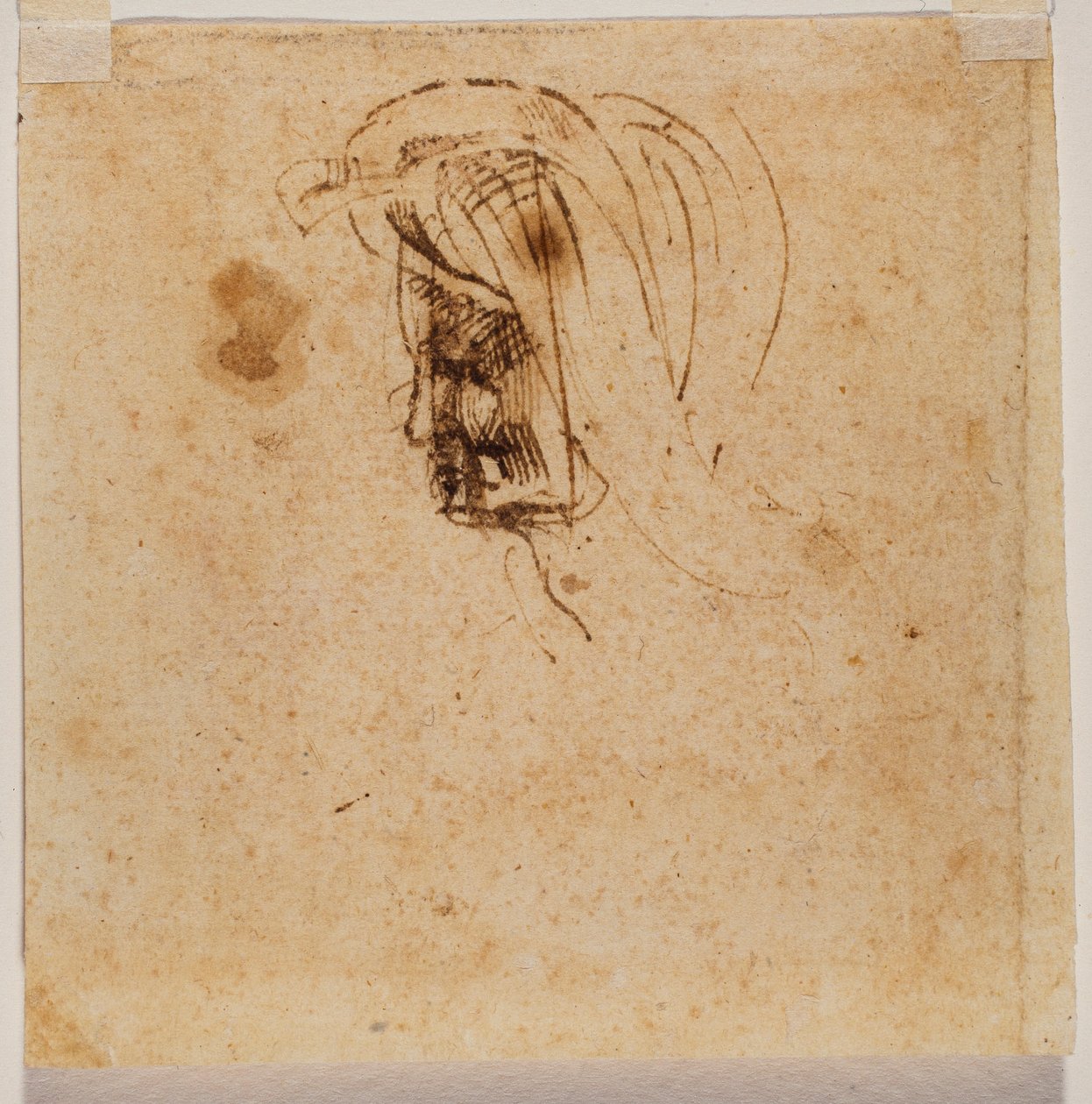 Kvinnligt huvud av Michelangelo Buonarroti
