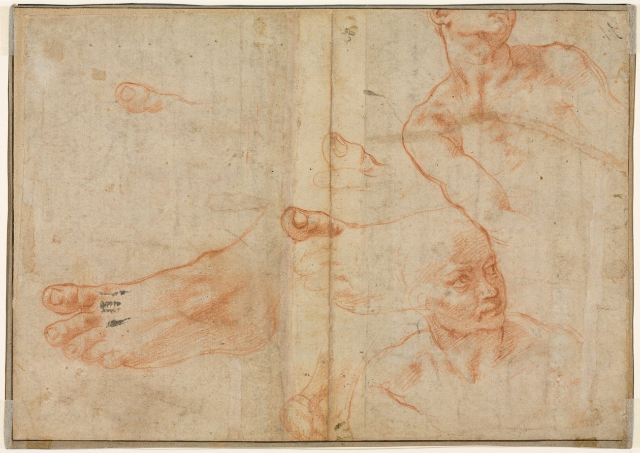 Figurstudier för det sixtinska taket (verso) av Michelangelo Buonarroti