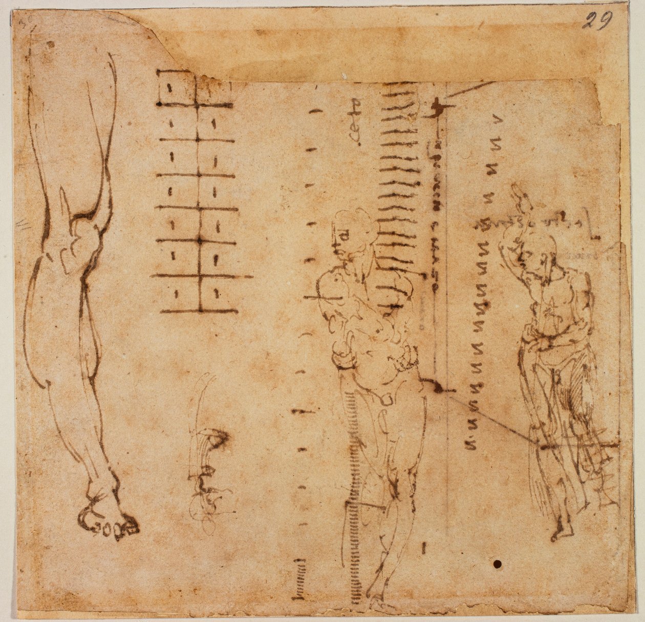 Figurstudier av Michelangelo Buonarroti