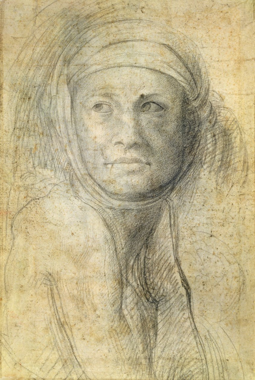 Chef för en kvinna av Michelangelo Buonarroti