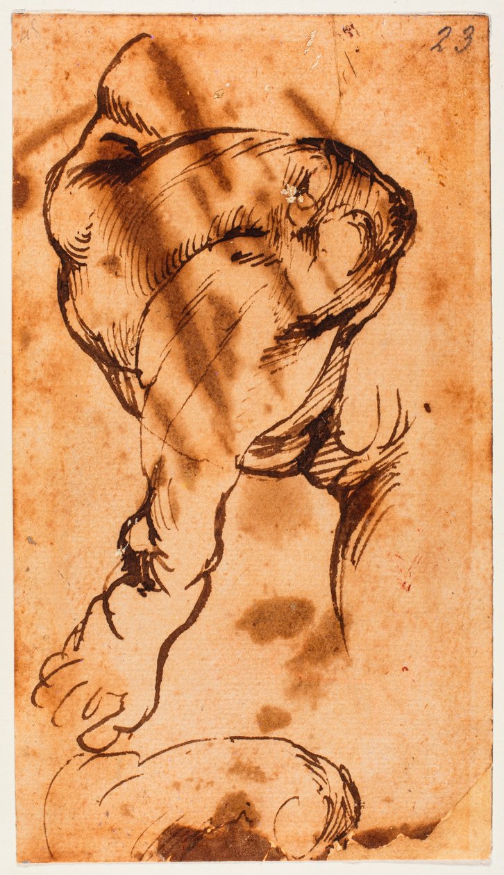 Benstudie för barnet i Doni Tondo av Michelangelo Buonarroti
