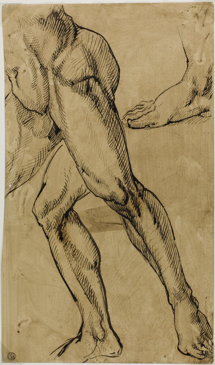 Ben och fötter av manlig naken av Michelangelo Buonarroti