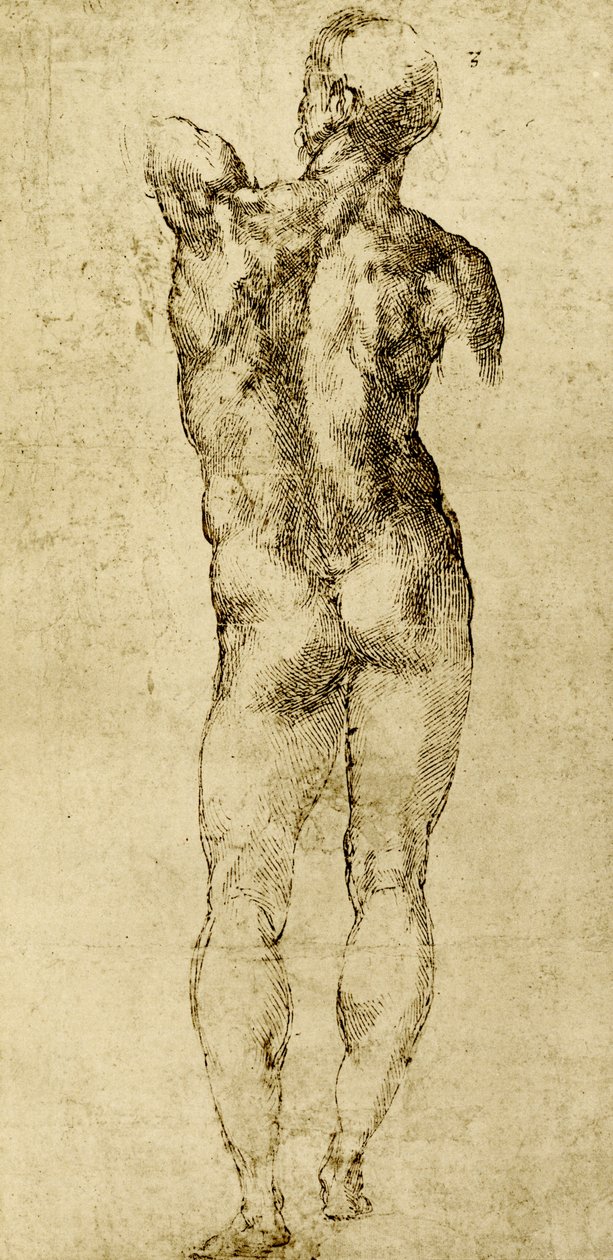 Naken man av Michelangelo Buonarroti