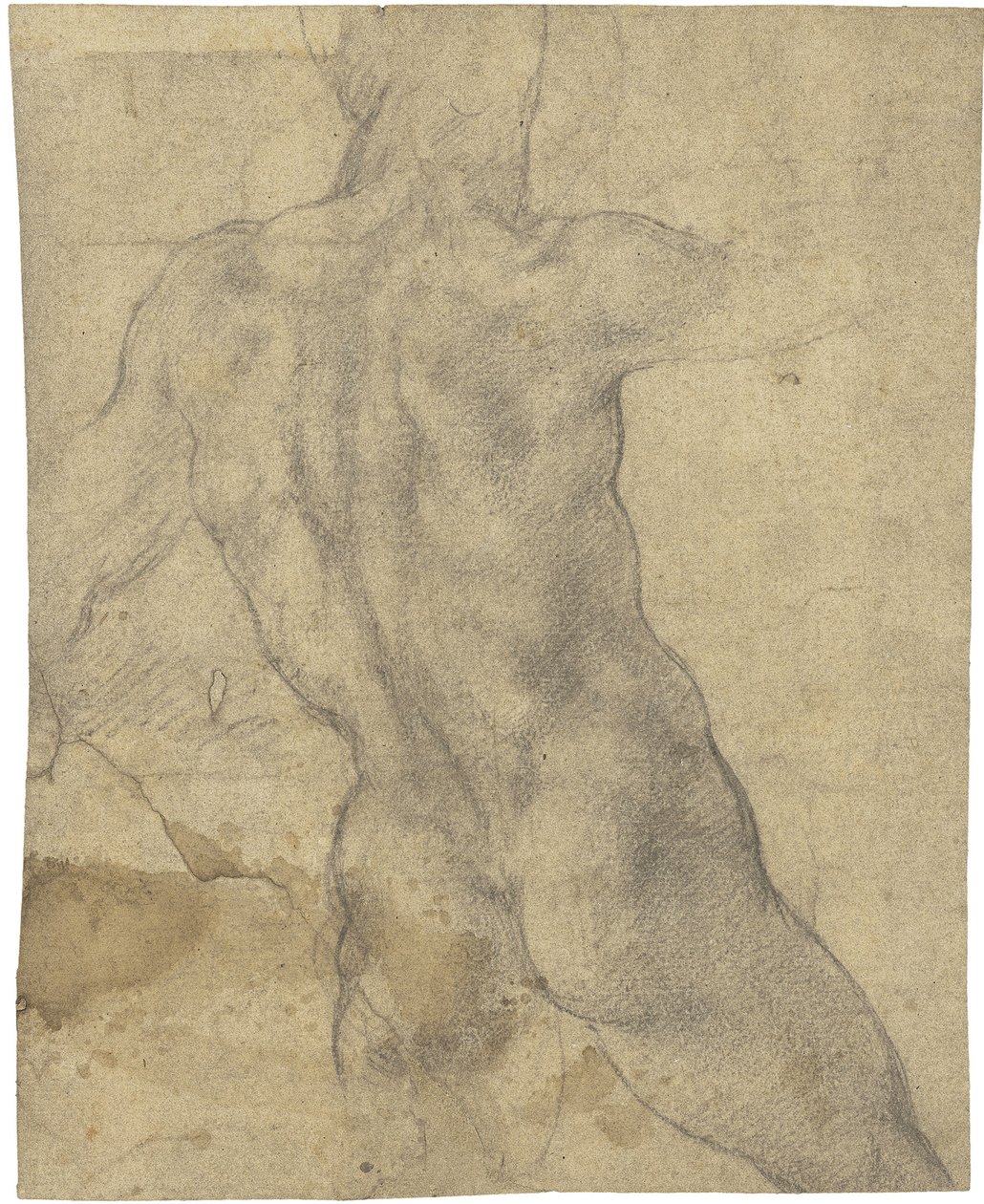 Naken man av Michelangelo Buonarroti