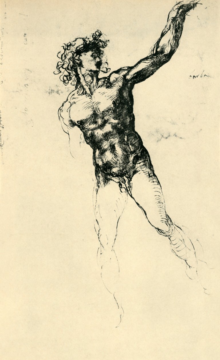 Naken man, 1503-1504, 1943. av Michelangelo Buonarroti