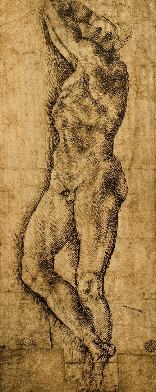 Naken man; teckning av Michelangelo. Louvren, Paris av Michelangelo Buonarroti