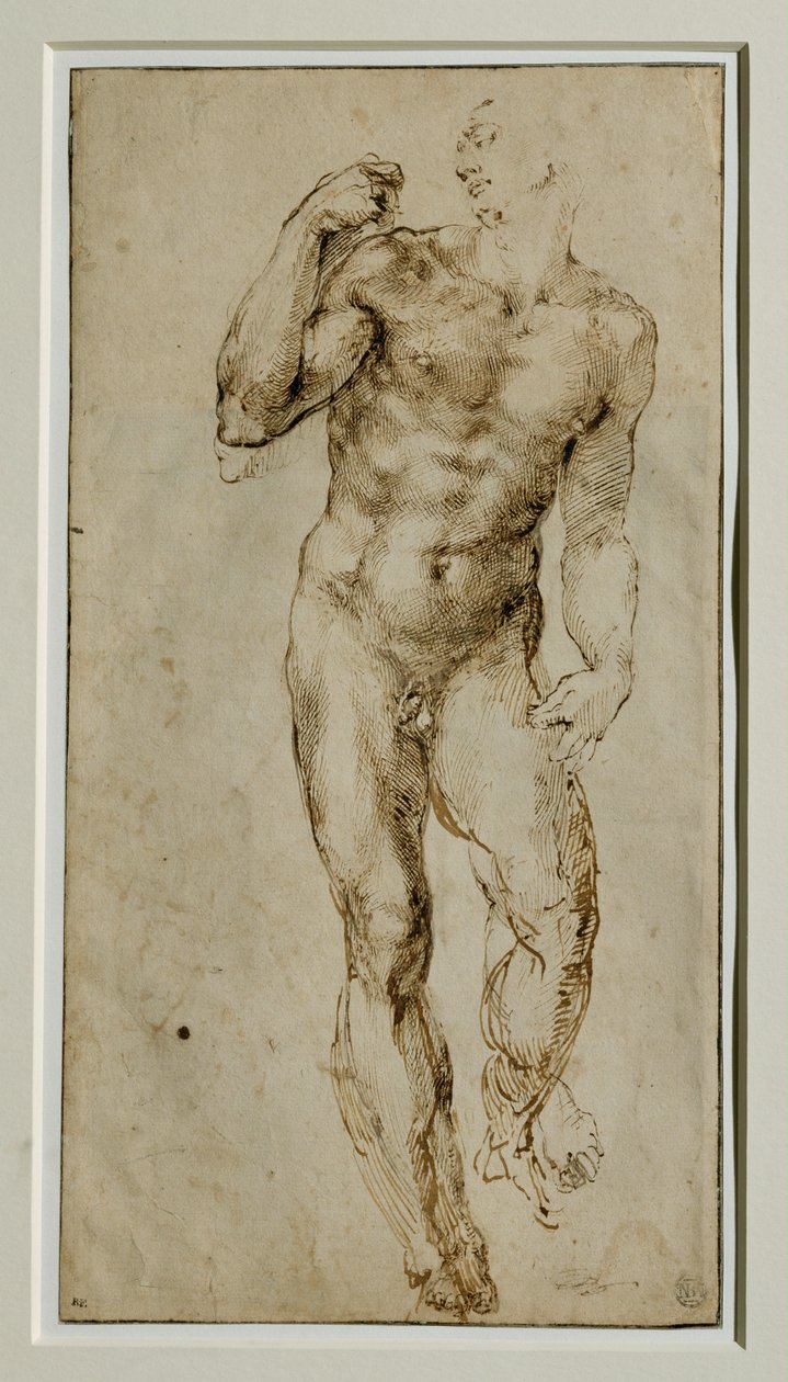 Manlig nakenbild, framifrån, ca 1502-1506 ... av Michelangelo Buonarroti