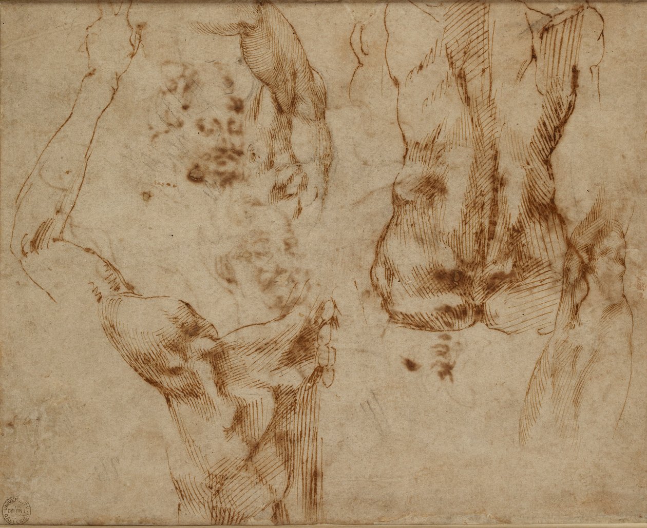 swedish av Michelangelo Buonarroti