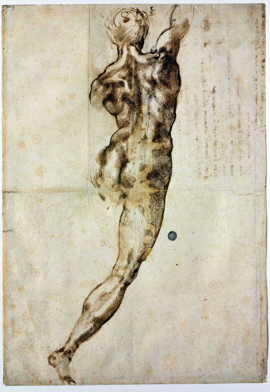 Naken bakifrån, c. 1504 av Michelangelo Buonarroti