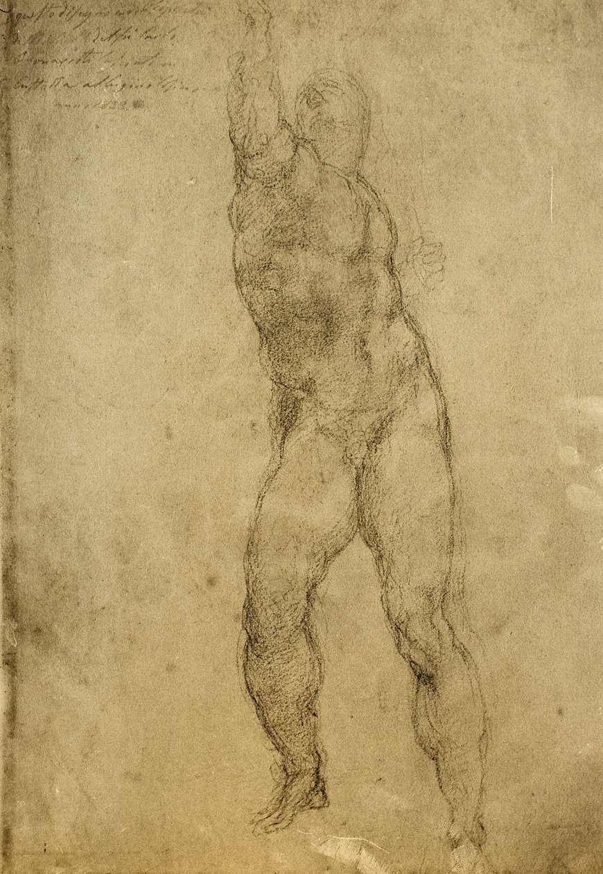 Nakenstudie, teckning av Michelangelo. Gallerie dellAccademia, Venedig av Michelangelo Buonarroti