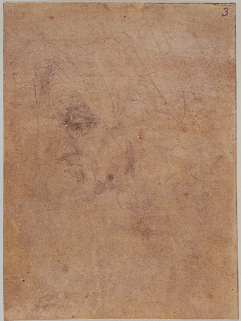 Profil av en gammal kvinna av Michelangelo Buonarroti
