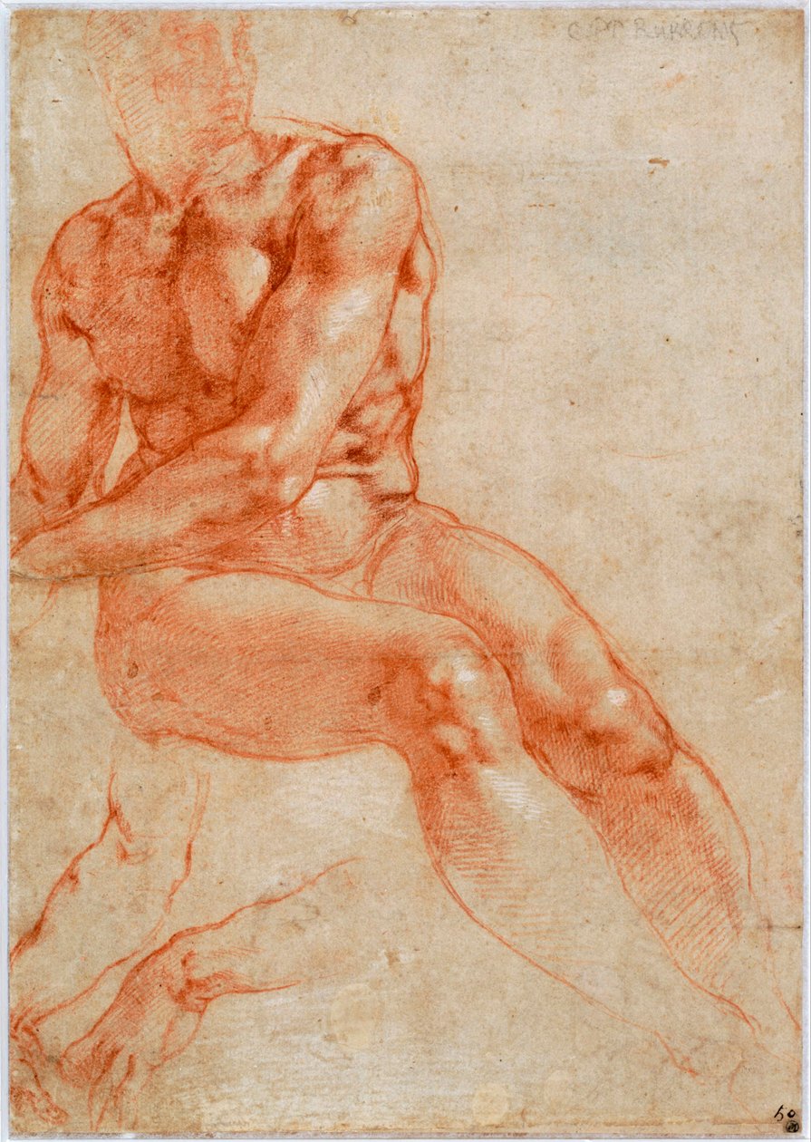Sittande ung manlig naken- och tvåarmsstudier, ca 1510-1511 av Michelangelo Buonarroti