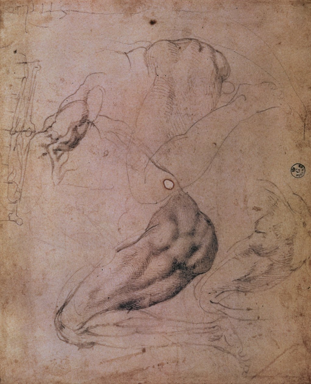 Sixtinska kapellets tak (1508-12): skisser av Evas gestalt från scenen av Ursynden (kol på papper) av Michelangelo Buonarroti