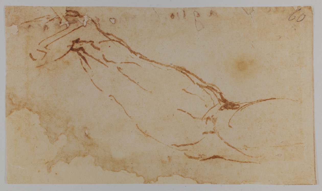 Skiss till höger arm på "Leda", 1528-1530 (teckning) av Michelangelo Buonarroti