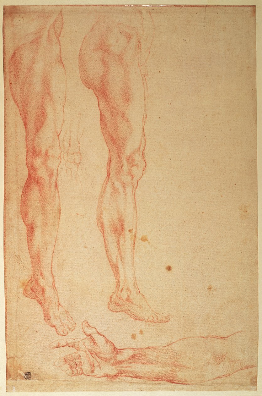 Studier av ben och armar (röd krita på papper) av Michelangelo Buonarroti