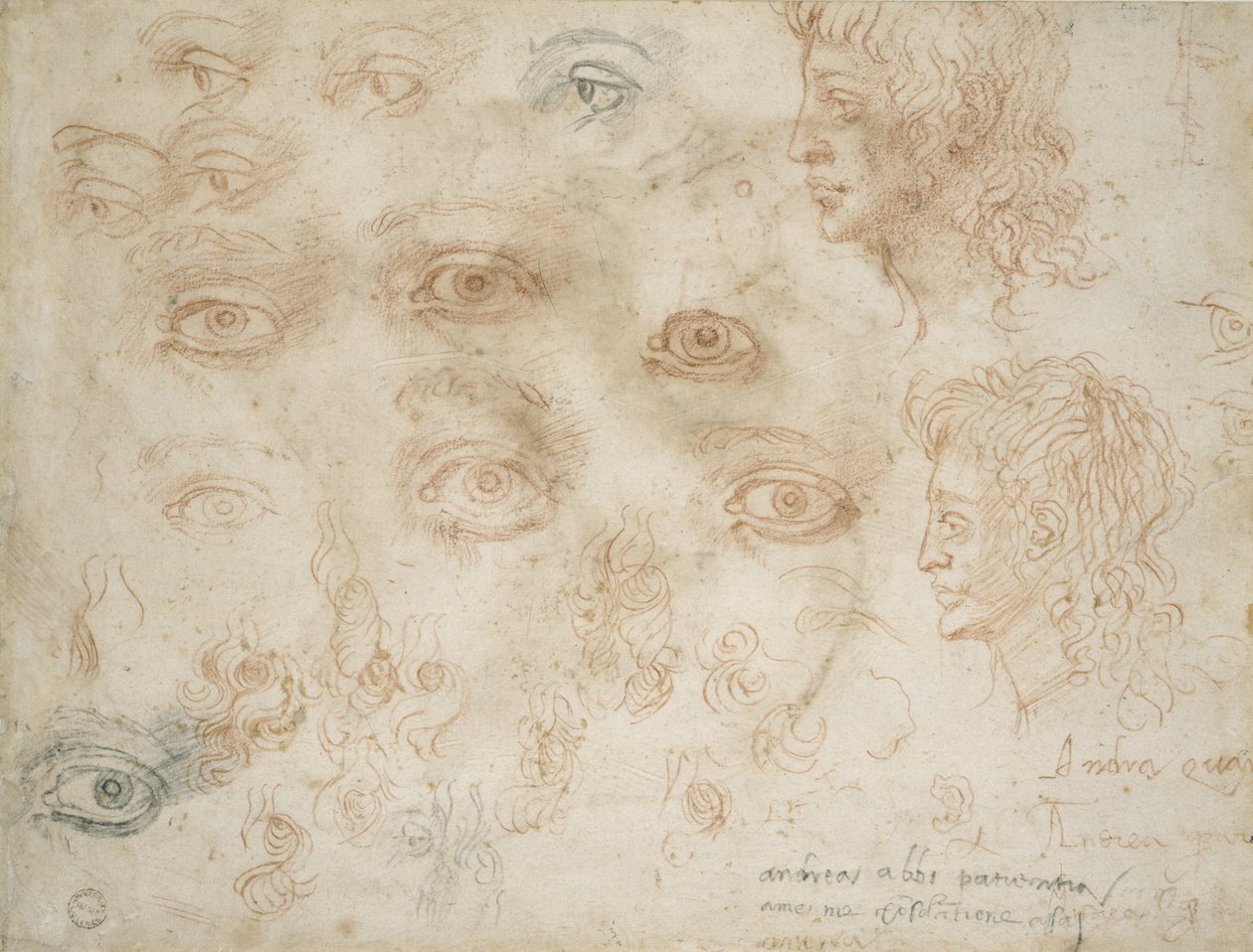 Studies of Two Heads, c.1525 (krita på papper) av Michelangelo Buonarroti