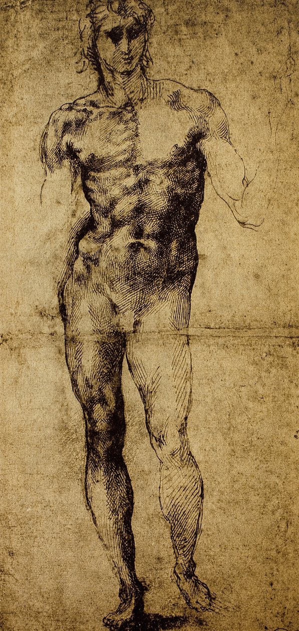 Studie för en manlig naken, Michelangelo Buonarroti (1475-1564), teckning, Paris, Louvren av Michelangelo Buonarroti