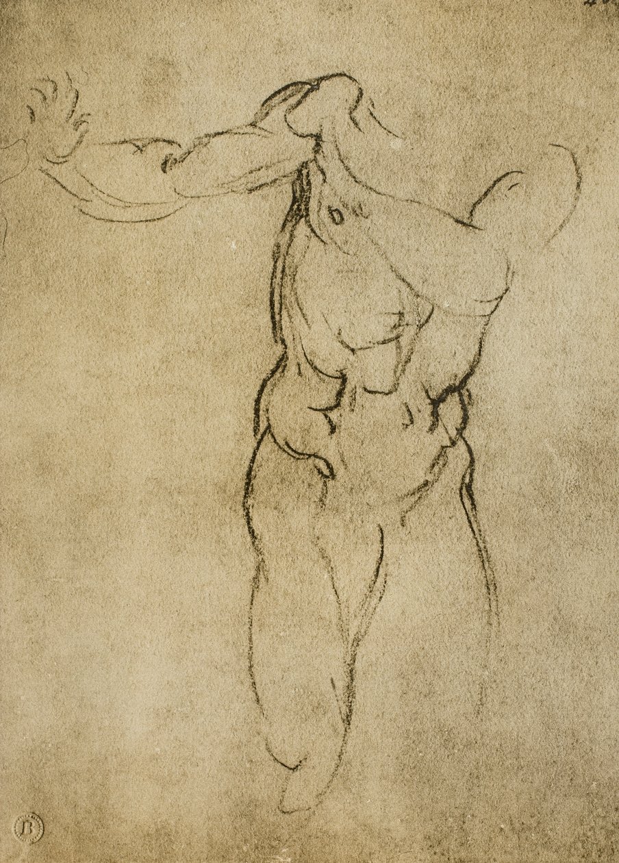 Studera för en maskulin byst, teckning av Michelangelo. Casa Buonarroti, Florens av Michelangelo Buonarroti