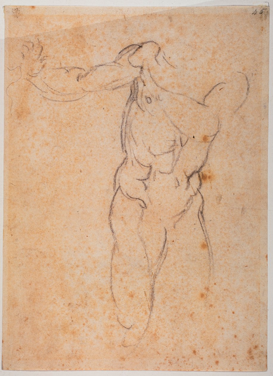 Studie för Adam av "Fördrivningen från Pardiso" i Sixtinska kapellet av Michelangelo Buonarroti